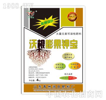 ����-�ָ����⛌�