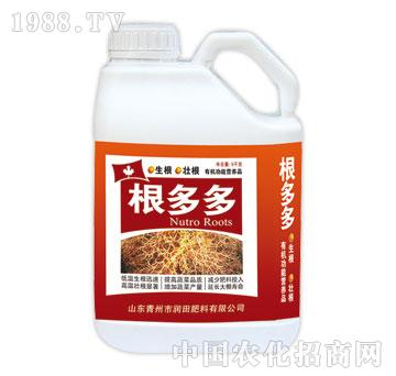 ��(r��n)��-�����