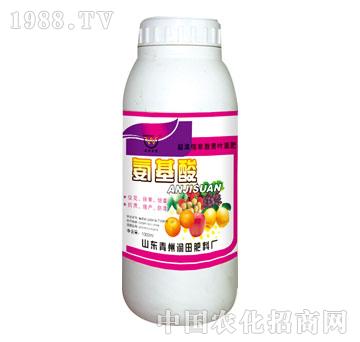 ����-������