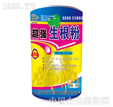 ����-����(qi��ng)������