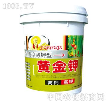 ����-�S���