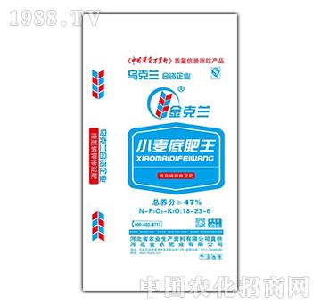 ����mС���׷���18-23-6