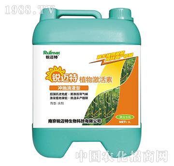 ֲ�Ｄ���؛_ʩ�ι���-�S�ό���-�J�~��