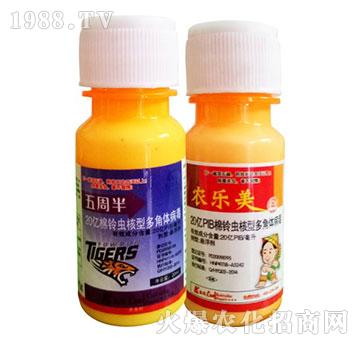 ����x���Ͷ���w����-���ܰ�+�r����-�P���