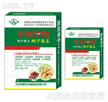 �t�������������^����-ȫ���ֶ�-���