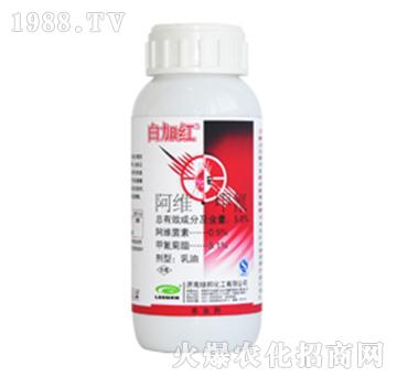 ���S����-�׼Ӽt-�G��