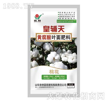 ���o���S�����~����ϣ��޻���-���з���