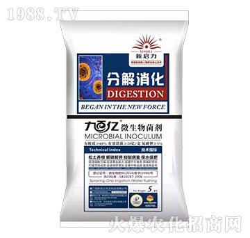 �ֽ�����-΢�������-����