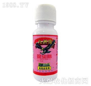 򻚤�x����-5%��x��-������