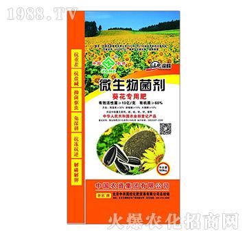 ��������΢�������-���r