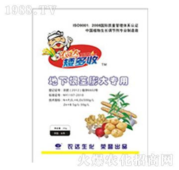 ���¸��o�����-�r(n��ng)�_����