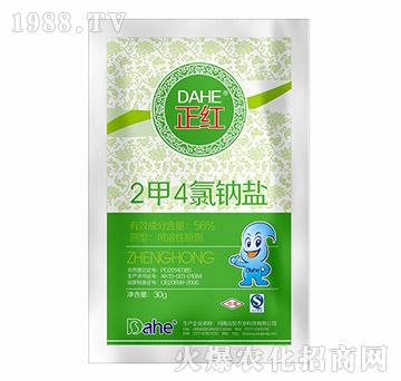 2��4���c�}-���t-�hҊ�r(n��ng)�I(y��)