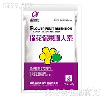 �������������-ʢ���߿�