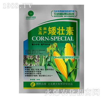 ���׸߮a������-�����r��