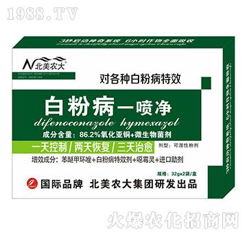 �׷۲�һ����-�����r��