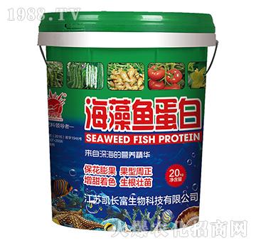 �����~(y��)����-�P�L(zh��ng)��