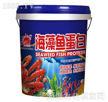 �����~(y��)���ף��{(l��n)��-�P�L(zh��ng)��