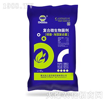 ��(f��)��΢�������-̼�������(f��)�Ͼ�-��֮�{