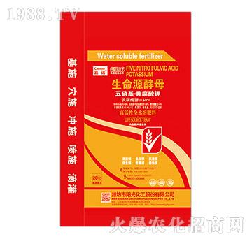 20kg���������S���������Դ��ĸ-���Z-ꖹ⻯��