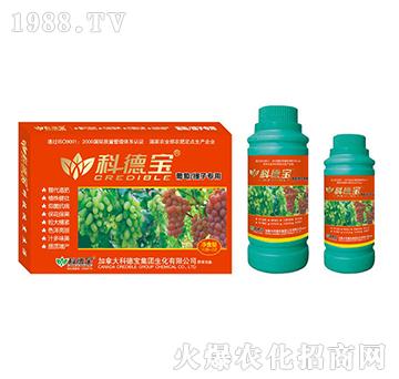 ���������ӌ��àI�B(y��ng)���a(ch��n)�{(di��o)�턩-�Ƶ�