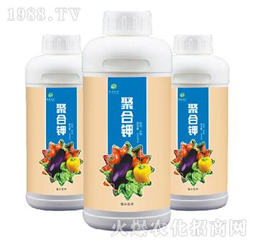 �ۺ��-��ɭ�r(n��ng)��