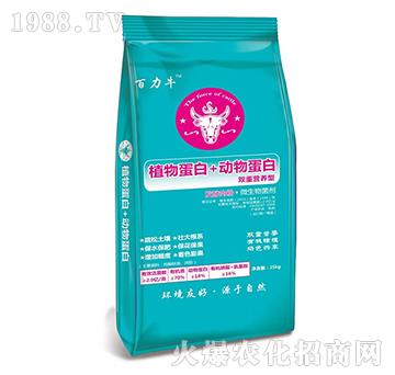 ֲ�ﵰ��+��(d��ng)�ﵰ��-��ķɳ