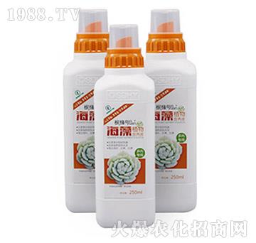 ����ֲ��I�B(y��ng)Һ-���⌣����