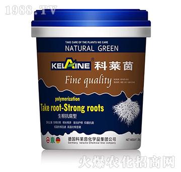 ����������-���R��-�W���r(n��ng)�I(y��)