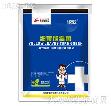 ��(x��)�S�ù��-����-������