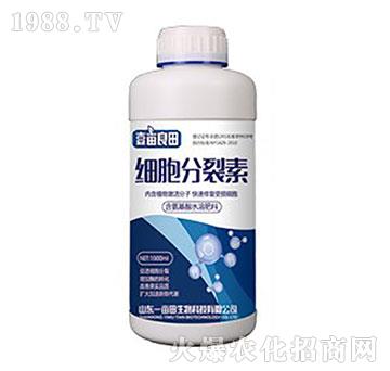 ����������-Ҽ������