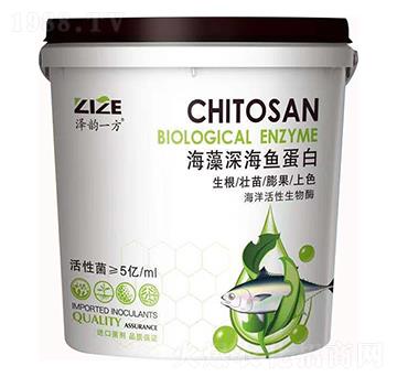 ������~(y��)����-���r(n��ng)���