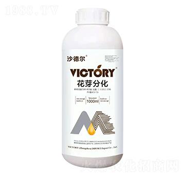 ��ѿ�ֻ�-ɳ� �-�S������