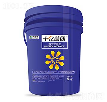 ΢�������-ʮ�|���F-�����Ƽ�