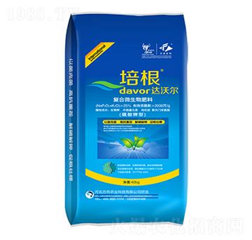 ������͏�(f��)��΢�������-�����r(n��ng)�I(y��)