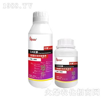 14Ԫ��-ȫ���a(b��)������I(y��ng)�B(y��ng)-�s��ֲ��