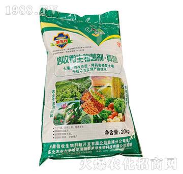 ����΢������������-��������