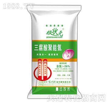 ��������ܵ�-����Ԫ-��W(w��ng)(li��n)