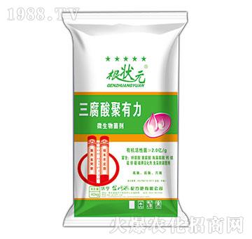 �����������΢�������-����Ԫ-��W(w��ng)(li��n)