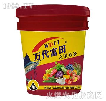 �����-�f(w��n)������