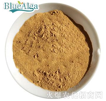 ����������-�{������