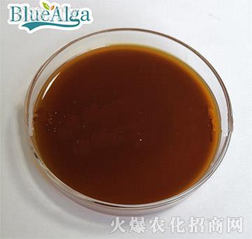 ���������أ�Һ�w��-�{������