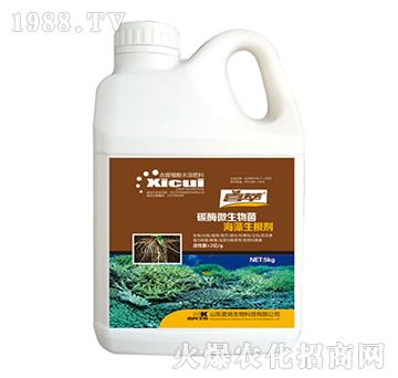 ̼ø΢���������������-��������