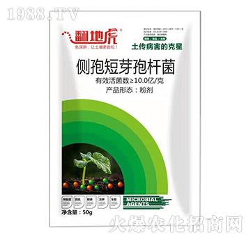 ��(c��)�߶�ѿ�ߗU��-���ػ�-�T�_(d��)