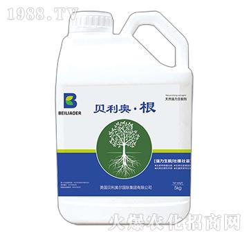 Ͱ�b��Ȼ����������-ؐ���W����-�����S