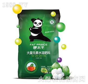 ����Ԫ��ˮ�ܷ���10-20-20+TE-��̫��