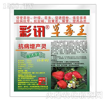 �������a(ch��n)�`-��ݮ��-��Ӎ-���S��