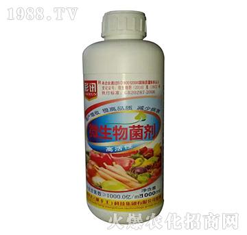 ΢�������-��Ӎ-���S��