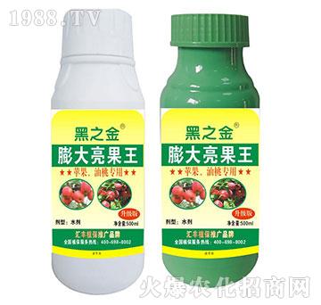 �O(p��ng)�������Ҍ�(zhu��n)�����������-�R�Sֲ��