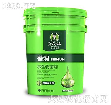 �������~��΢�������-�흙(r��n)-�����