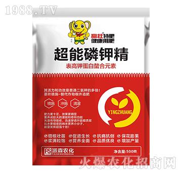 ������⛾�-�A(y��ng)��-��ɭ�r(n��ng)��